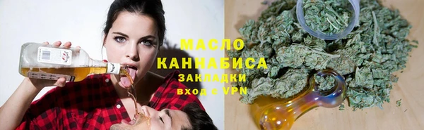 дживик Щигры