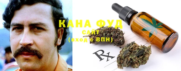 дживик Щигры