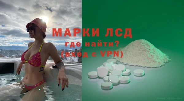 дживик Щигры