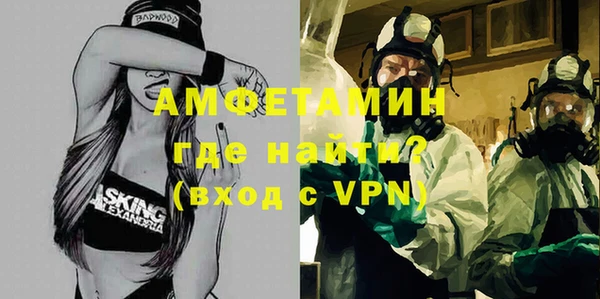 дживик Щигры