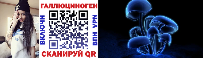 Галлюциногенные грибы MAGIC MUSHROOMS  Купить  Шагонар 